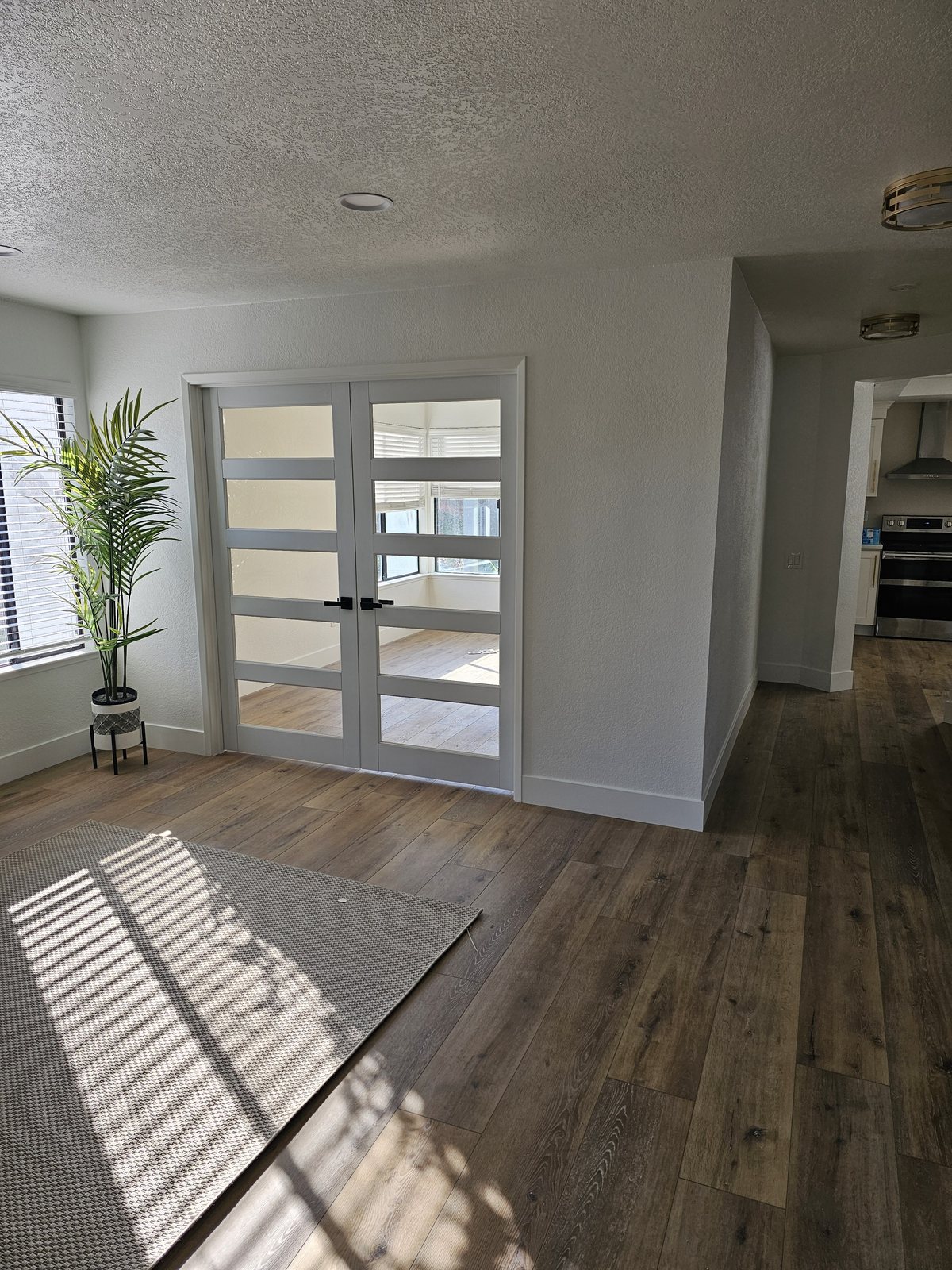 A living room entry with new flooring and glass-panel doors